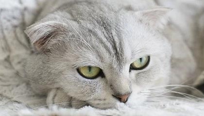 九游官方中心——你的游戏世界新入口